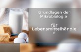 Grundlagen der Mikrobiologie für Lebensmittelhändler.