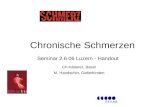 Chronische Schmerzen Seminar 2.6.06 Luzern - Handout Ch.Kätterer, Basel M. Handschin, Gelterkinden.