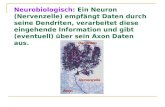 Neurobiologisch: Ein Neuron (Nervenzelle) empfängt Daten durch seine Dendriten, verarbeitet diese eingehende Information und gibt (eventuell) über sein.