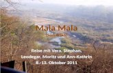 Mala Mala (Südafrika) Reise mit Vera, Stephan, Leodegar, Moritz und Ann-Kathrin 8.-13. Oktober 2011.