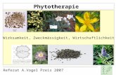 Referat A.Vogel Preis 2007 Phytotherapie Wirksamkeit, Zweckmässigkeit, Wirtschaftlichkeit.
