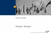 Unicode Birgit Berger. Unicode Basics Unicode Konvertierung Hardware, Downtime Sprachen Support / Unicode mit Oracle Weiterführende Information.