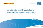 Anatomie und Physiologie des Herz-Kreislauf-Systems