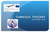 Comenius Projekt Lebenslange Lernen. Was ist das? Comenius ist seit 2007 ein Teil des EU Programms für lebenslanges Lernen. Es unterstützt junge Menschen.