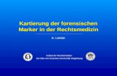 Kartierung der forensischen Marker in der Rechtsmedizin S. Lieske Institut für Rechtsmedizin der Otto-von-Guericke-Universität Magdeburg.