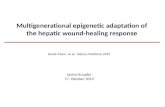 Multigenerational epigenetic adaptation of the hepatic wound-healing response Derek Mann et al., Nature Medicine 2012 Janine Knupfer 17. Oktober 2012.