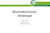 Biomedizinische Ontologie Stefan Schulz Institut für Medizinische Informatik, Statistik und Dokumentation Medizinische Universität Graz.