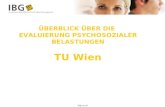 ÜBERBLICK ÜBER DIE EVALUIERUNG PSYCHOSOZIALER BELASTUNGEN TU Wien ibg.co.at.