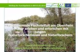 Monika Baumhof-Pregitzer Stiftung Naturschutzfonds Baden-Württemberg Faszinierende Fischvielfalt am Oberrhein – Natur erleben und erforschen mit jungen.