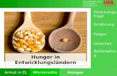 Maturaprojekt 2013 Valeria Ertelt Alexandra Lenz Armut in ELMikrokrediteHunger Ursachen Folgen Ernährung Bekämpfung Forschungs- frage Hunger in Entwicklungsländern.