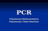 PCR Polymerase-Kettenreaktion Polymerase Chain Reaction.