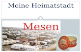 Meine Heimatstadt Mesen. Die Stadt Mesen liegt im Norden Ruβlands, am Fluβ Mesen. Die Stadt liegt etwa 40 km vom Weißen Meer entfernt und 300 km nordöstlich.