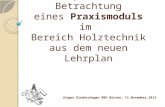 Exemplarische Betrachtung eines Praxismoduls im Bereich Holztechnik aus dem neuen Lehrplan Jürgen Diedershagen BBS Wissen, 11.November.2013.
