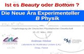Die Neue Ära Experimenteller B Physik Andreas Höcker Laboratoire de l‘Acélérateur Linéaire (LAL) Orsay, France Ist es Beauty oder Bottom ? Früjahrstagung.