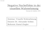 1 Negative Nacheffekte in der visuellen Wahrnehmung Seminar: Visuelle Wahrnehmung Dozent: Dr. Alexander Schütz Referent: Daniel Ziegler Favreau & Corballis,