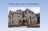 Mein Besuch in Osthofen. In dem diesjährigen Urlaub, als ich bei meiner Tante in Saulheim zu Besuch war, habe ich Partnerschule WGS Osthofen besucht.
