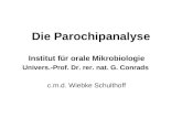 Die Parochipanalyse Institut für orale Mikrobiologie Univers.-Prof. Dr. rer. nat. G. Conrads c.m.d. Wiebke Schulthoff