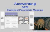 Auswertung SPM Statistical Parametric Mapping