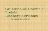 Grundschule Dramfeld Projekt BioenergieErlebnis April 2008, KLASSE 4b.