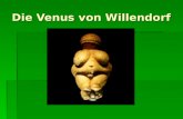 Die Venus von Willendorf. Der alte Name von Österreich war Regnum Noricum.