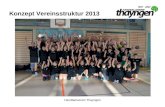 Handballverein Thayngen Konzept Vereinsstruktur 2013.