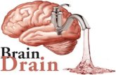 Plan Plan Einleitung Einleitung Definition des Begriffes Definition des Begriffes „Brain Drain“. Geschichte. Vorteile Vorteile Nachteile Nachteile Meinung.