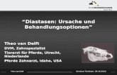 Theo van Delft Seminar Tierärzte, 03.10.2012 “Diastasen: Ursache und Behandlungsoptionen” Theo van Delft DVM, Zahnspezialist Tierarzt für Pferde, Utrecht,