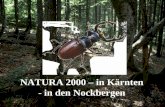 NATURA 2000 – in Kärnten - in den Nockbergen. Als nach dem Beitritt Österreichs zur Europäischen Union 1995 ohne Übergangsfristen Gebietsnominierungen.