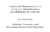 Cancro da Macieira (Nectria galligena) Identificação e possibilidades de controle Dr. Gerd Palm Obstbau- Versuchs- und Beratungszentrum Jork/Alemanha.