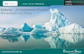 Eisberg - "E-Commerce Projekt" - Mit Konzept zum Erfolg