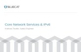 Core Network Services & IPv6 (2013-06-05)