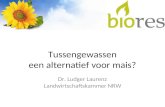 Tussengewassen een alternatief voor mais? Dr. Ludger Laurenz Landwirtschaftskammer NRW.