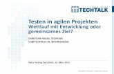 Agiles Testen (German)