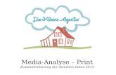 Media Analyse 2013