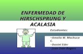 Enfermedad de Hirschsprung y Acalasia