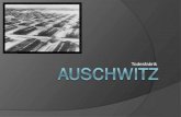 Auschwitz - Präsentation