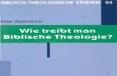 BTS 24 Wie Treibt Man Biblische Theologie