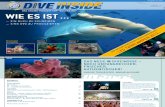 Dive Inside 12 01 Web