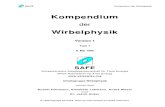 Kompendium Wirbelphysik v1 Teil 1