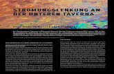 Werdenberg et. al - Strömungslenkung an der Taverna (2012)