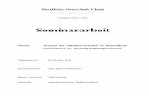 Seminararbeit: Analyse der Schattenwirtschaft in Deutschland, insbesondere der Bekämpfungsmöglichkeiten