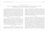 Horváth, L. A.: Neue Angaben zum Übergang von der Kupfer- bis Frühbronzezeit in Südwestungarn