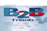 Studie B2B Trends: Leseprobe