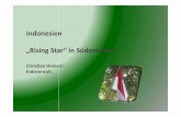 2012 Rising Star Indonesia  Vortrag Christian Hainsch - Indoconsult 30-05-2012