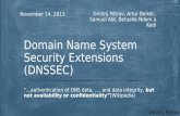 Domain name system security extension