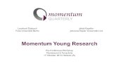 Momentum Young Research 2013