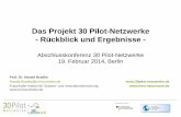 Das Projekt 30 Pilot-Netzwerke - Rückblick und Ergebnisse