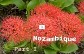 Countries from a to z mosambik part i