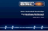Beko BBL-Ausschreibung Wettbewerb 1. Basketball Bundesliga 2013/2014