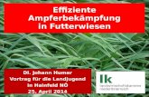 HUMER Johann, Effiziente Ampferbekaempfung in Futterwiesen,Hainfeld,2014.ppt